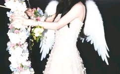 chinese帅哥十八飞机